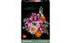 Конструктор LEGO Botanical Collection Милий рожевий букет квітів (10342) T3319K фото 1
