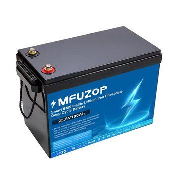 MFUZOP 24V 100Ah (LiFePO4) Акумуляторна батарея T4166D фото