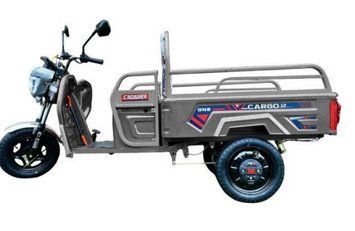 CARGO 12" 60V 32Ah 800W Gray Електротрицикл вантажний T1920D фото