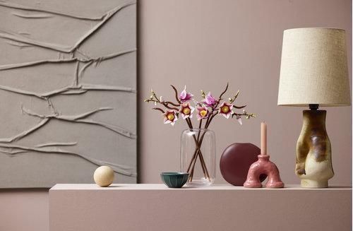 Конструктор LEGO Botanicals Ветви магнолии (11510) T8879K фото