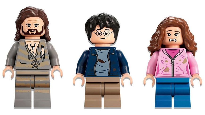 Конструктор LEGO Harry Potter Двор Хогвортса: порятунку Сиріуса (76401) T3961 фото