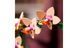 Конструктор LEGO Botanicals Міні орхідея (10343) T4899K фото 4