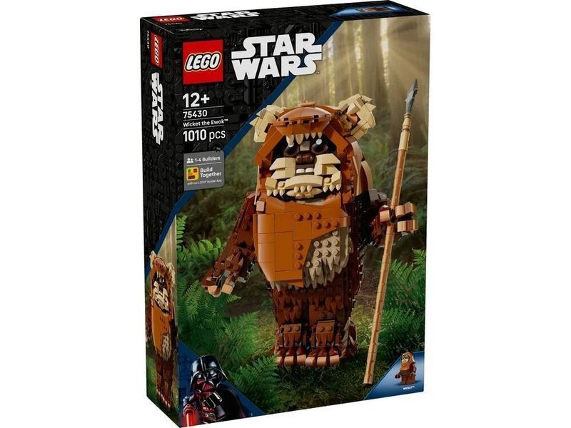 Конструктор LEGO Star Wars 75430 Евок Уікет T9492K фото