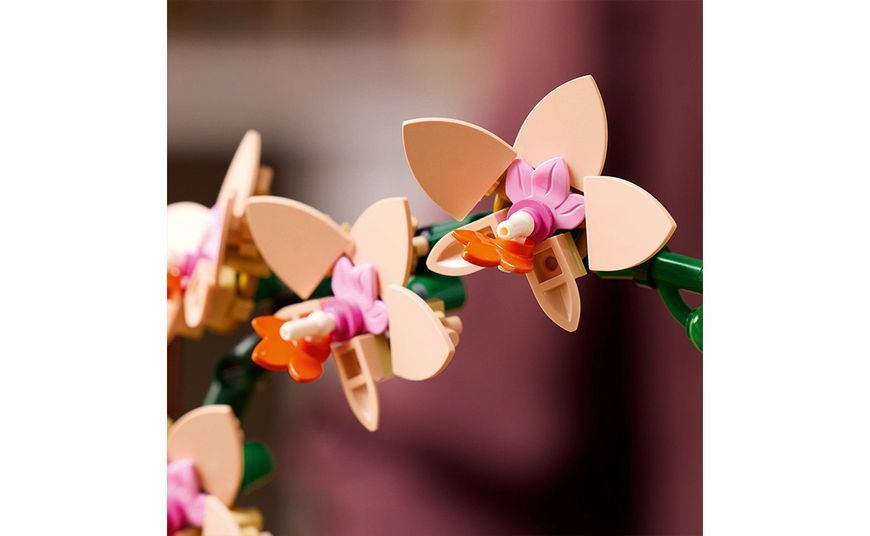 Конструктор LEGO Botanicals Міні орхідея (10343) T4899K фото