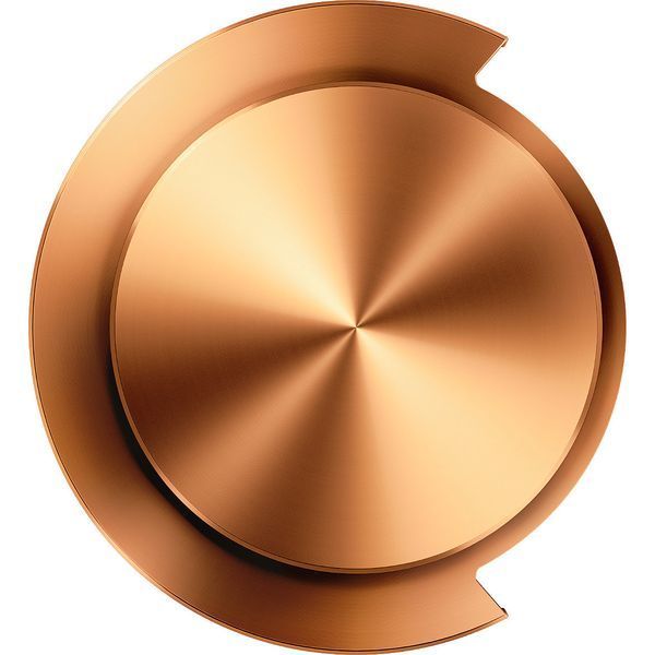 Dyson OnTrack CNC Copper 759558-01 Бездротові навушники T3114K фото