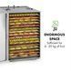 Klarstein Master Pro Jerky Дегідратор сушарка для фруктів овочів м'яса грибів T2988K фото 6