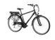 F.lli Schiano E-Ride 28" E-Bike 250 Вт Электровелосипед T1556 фото 1