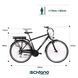 F.lli Schiano E-Ride 28" E-Bike 250 Вт Электровелосипед T1556 фото 5