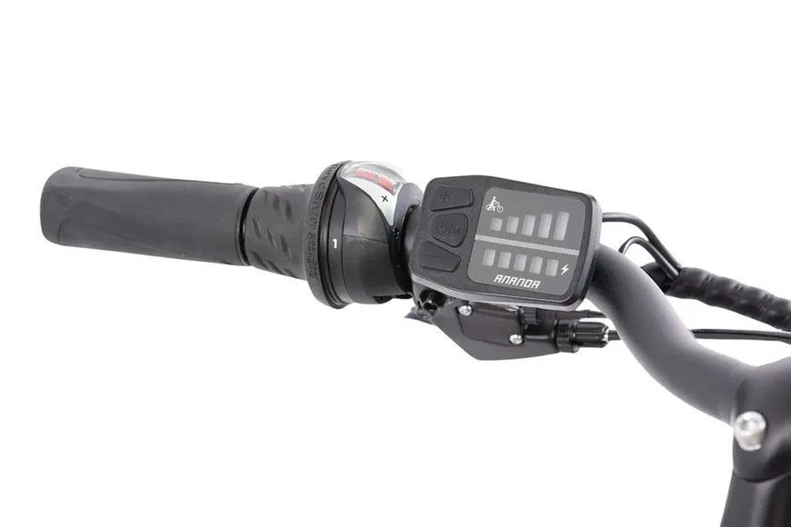 F.lli Schiano E-Ride 28" E-Bike 250 Вт Электровелосипед T1556 фото