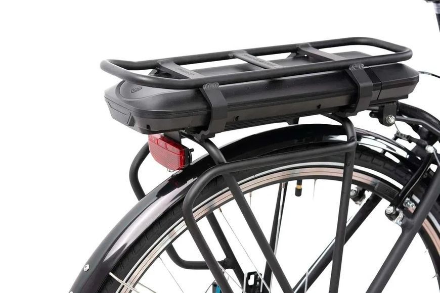 F.lli Schiano E-Ride 28" E-Bike 250 Вт Электровелосипед T1556 фото