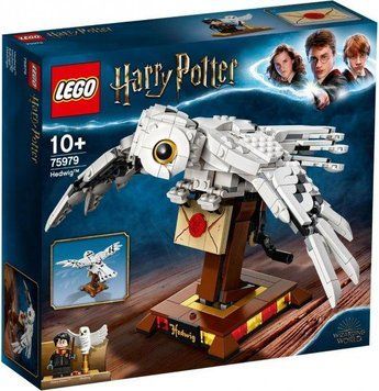 Конструктор LEGO Harry Potter 75979 Букля T2718 фото
