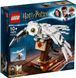 Конструктор LEGO Harry Potter 75979 Букля T2718 фото 1