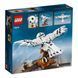 Конструктор LEGO Harry Potter 75979 Букля T2718 фото 2