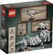 Конструктор Lego Ideas Кістки динозавра 21320 T2706 фото 7