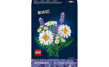Конструктор LEGO Botanicals Ромашки (11508) T8119K фото